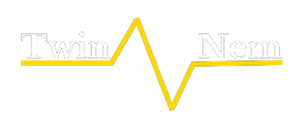 Twin n Nem logo